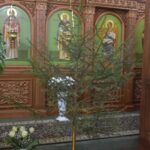 11 января 2026.Утренняя служба